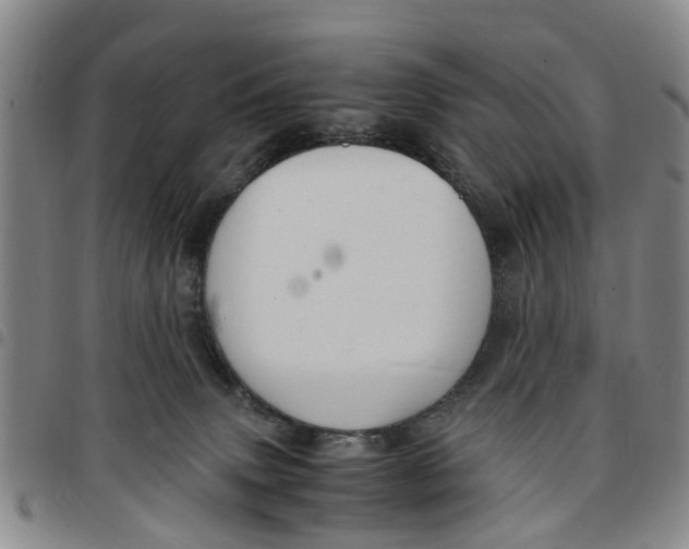 X0000097460083200803141901