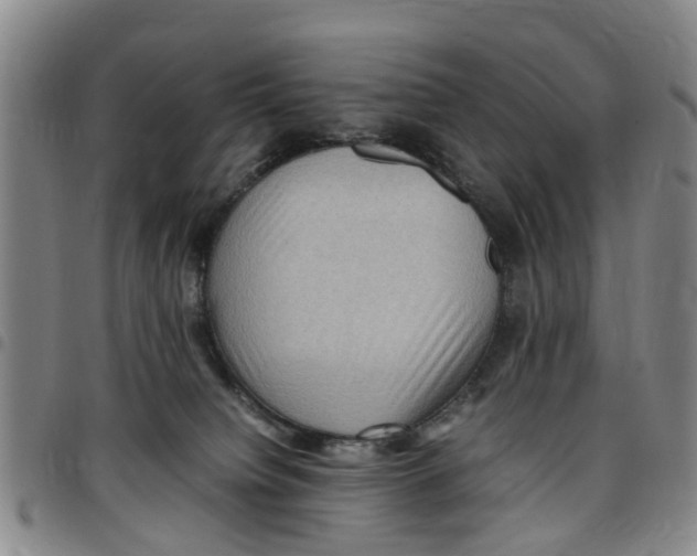 X0000097460084200803141901