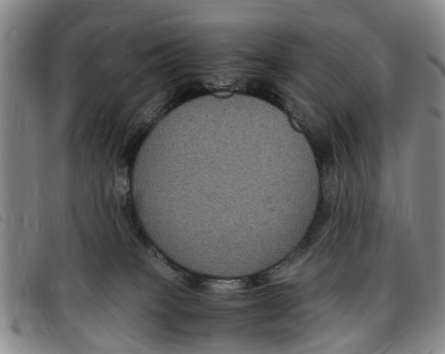 X0000097460085200803141901