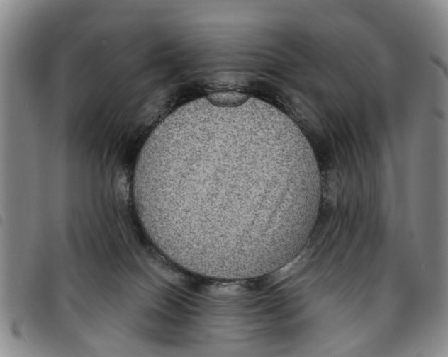 X0000097460086200803141901