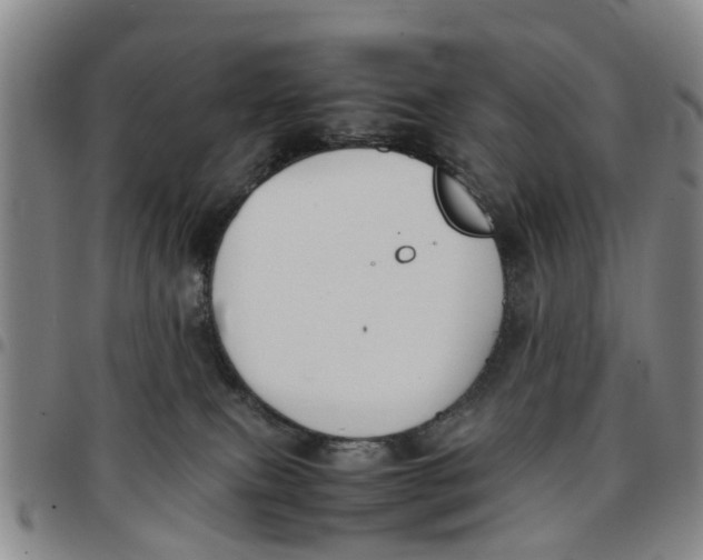 X0000097460087200803141901