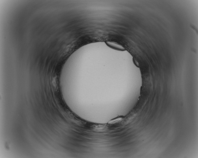 X0000097460088200803141901