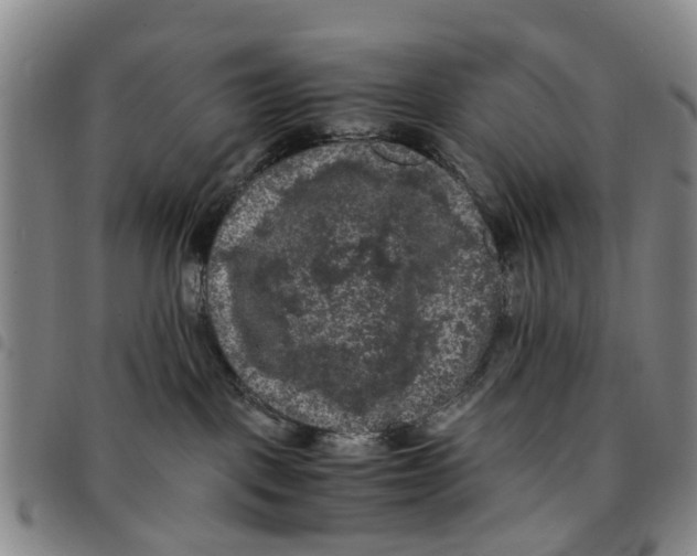 X0000097460093200803141901