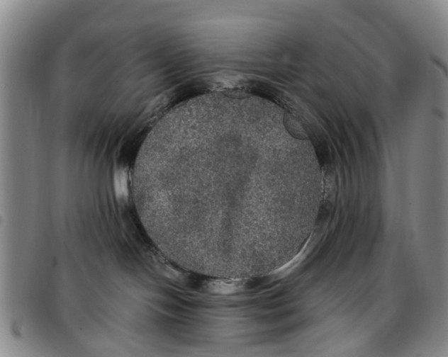 X0000097460094200803141901