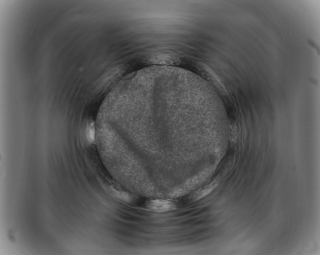 X0000097460095200803141901