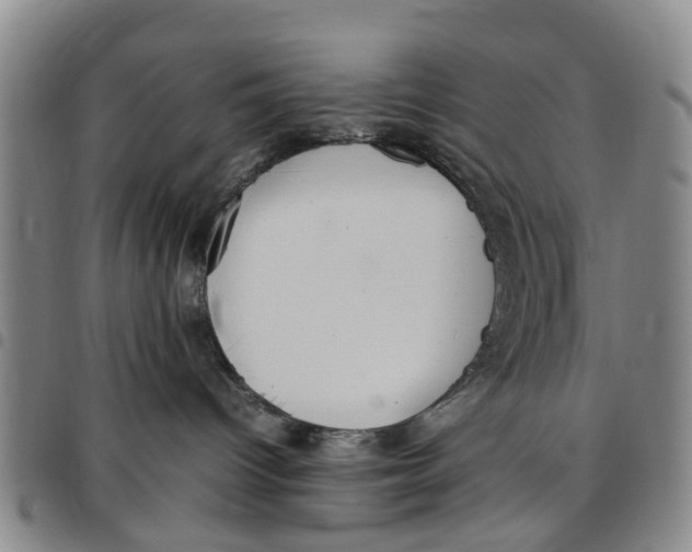 X0000097460096200803141901