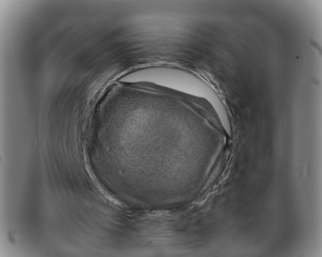 X0000097460097200803141900