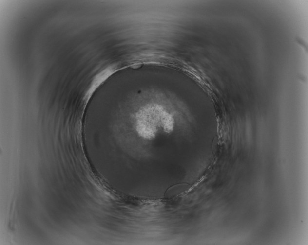 X0000097460099200803141900