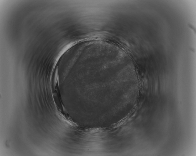 X0000097460100200803141900