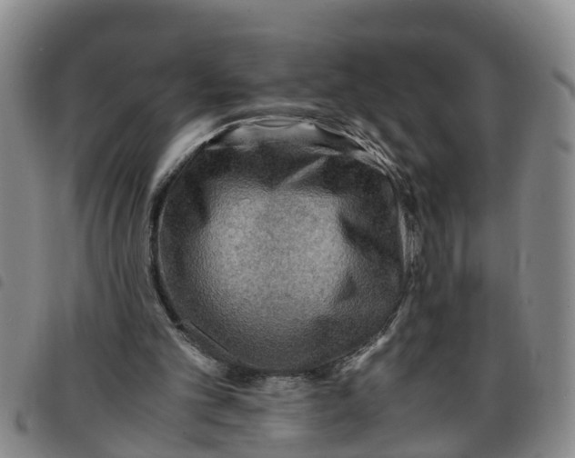 X0000097460101200803141900