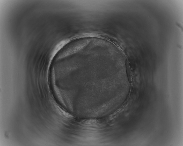 X0000097460104200803141900