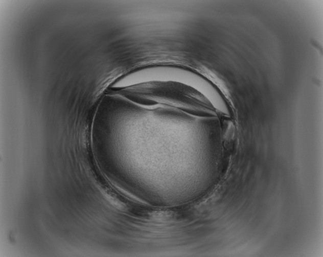 X0000097460105200803141900