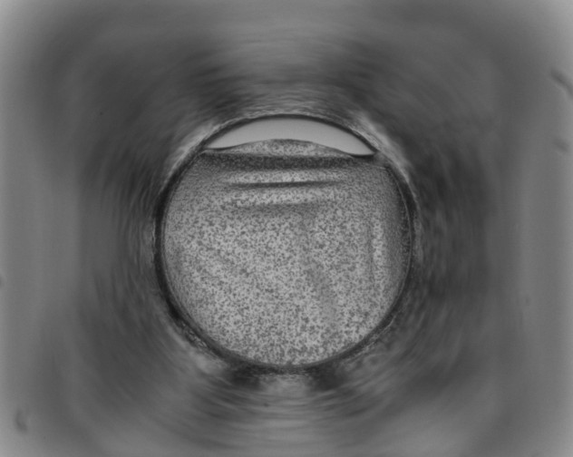 X0000097460107200803141900