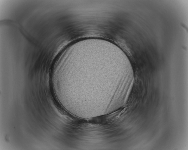 X0000097460108200803141900