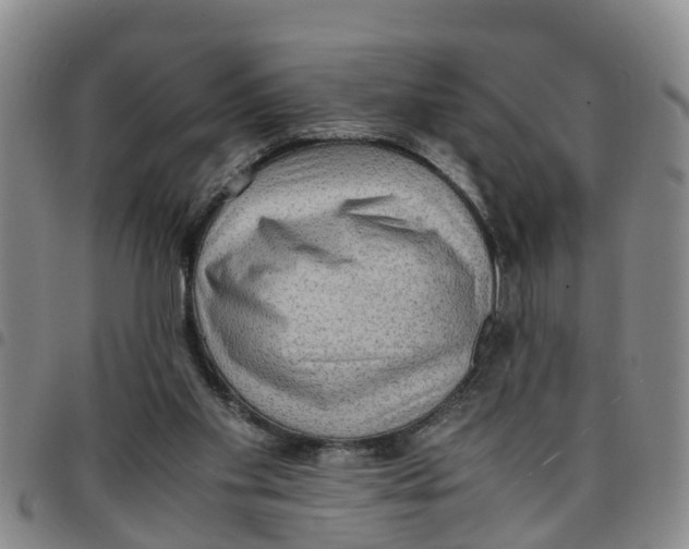 X0000097460109200803141900