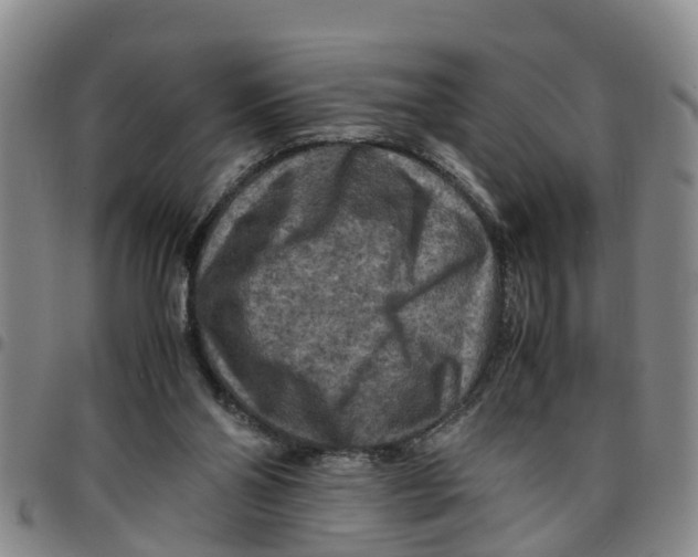 X0000097460110200803141900