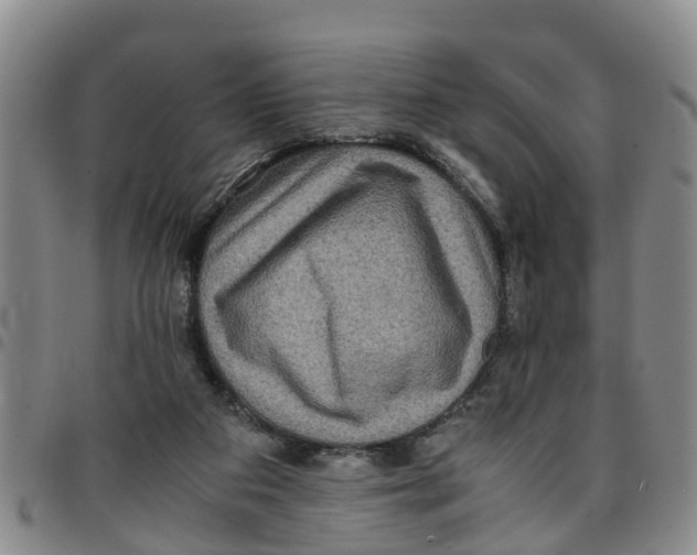 X0000097460113200803141900