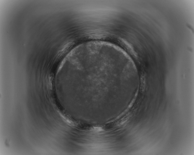 X0000097460114200803141900