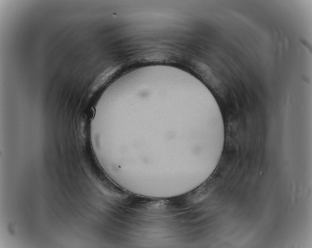 X0000097460116200803141900