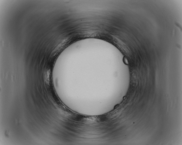 X0000097460118200803141900