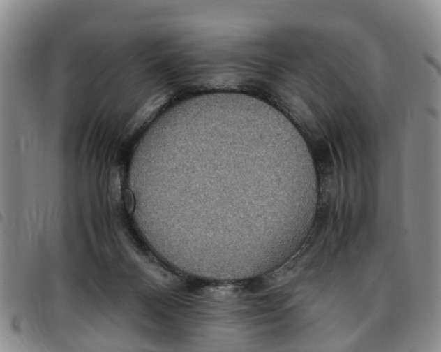 X0000097460120200803141900