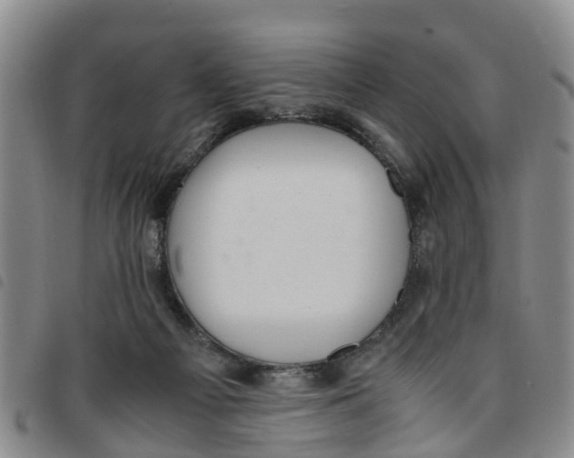 X0000097460121200803141900