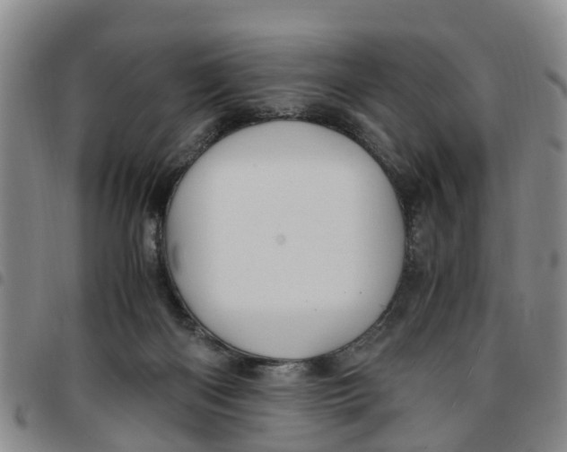 X0000097460122200803141900