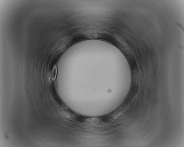 X0000097460125200803141900