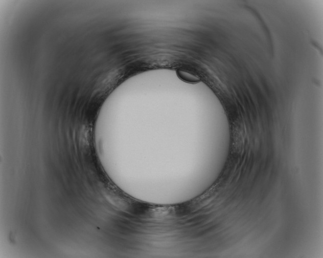 X0000097460126200803141900