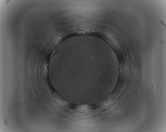 X0000097460127200803141900