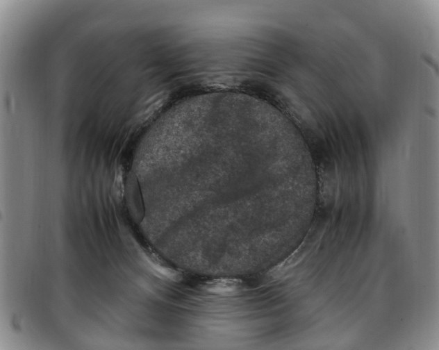 X0000097460128200803141900