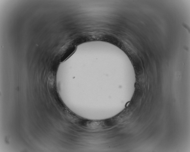 X0000097460129200803141900