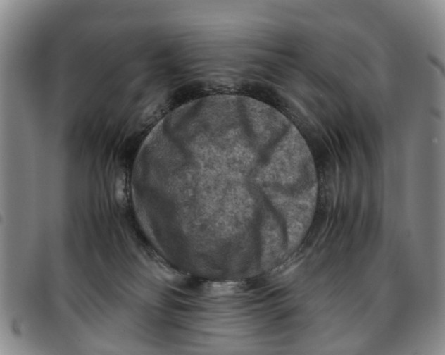 X0000097460134200803141900