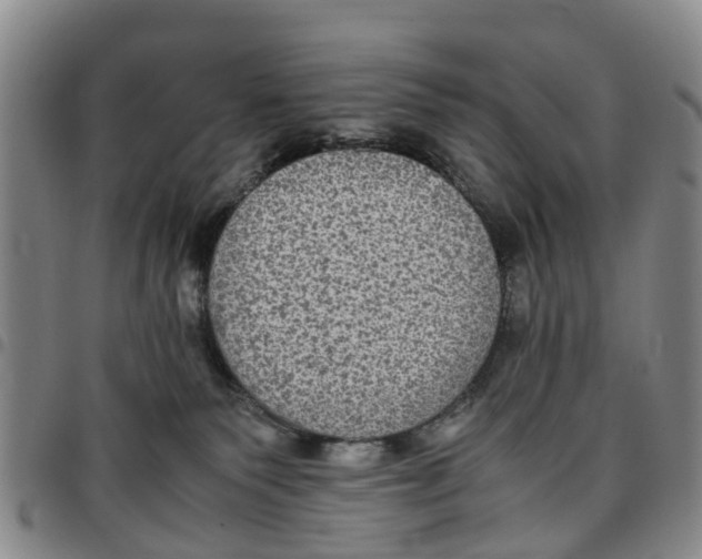 X0000097460135200803141900