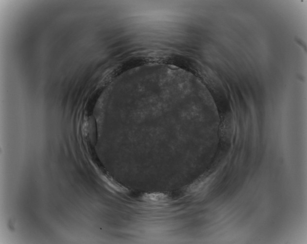 X0000097460137200803141900