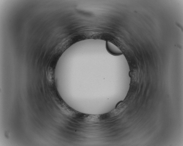 X0000097460138200803141900