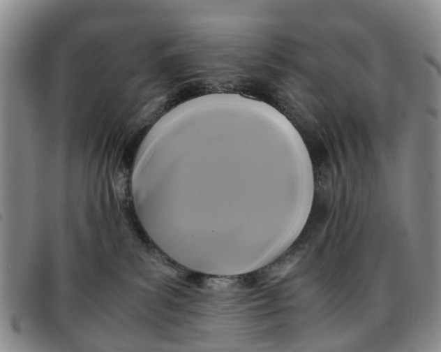 X0000097460139200803141900