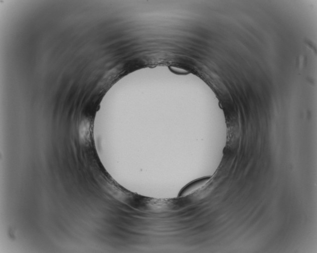 X0000097460142200803141900