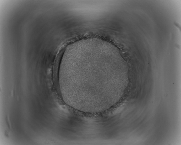 X0000097460144200803141900