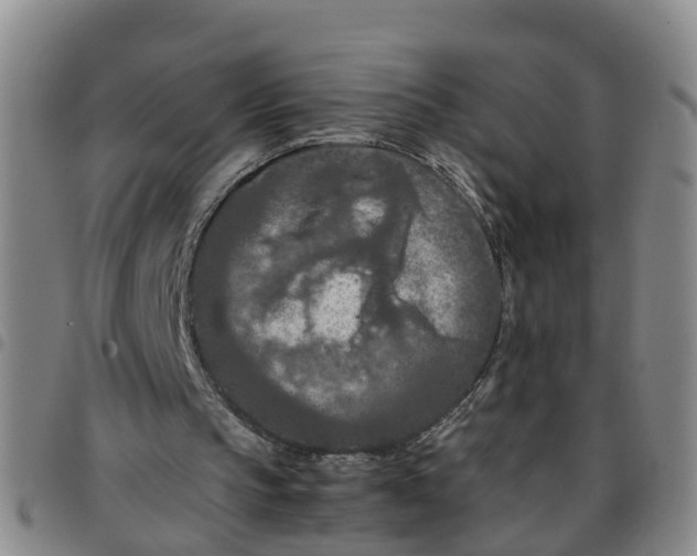 X0000097460145200803141859