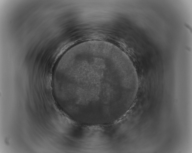 X0000097460146200803141859