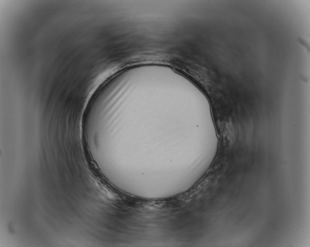 X0000097460148200803141859