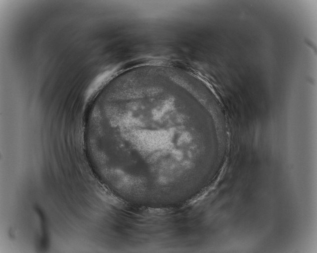 X0000097460149200803141859