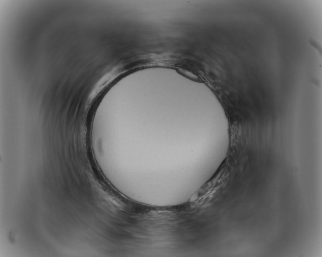 X0000097460150200803141859