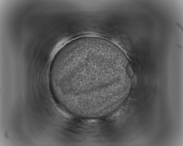 X0000097460151200803141859