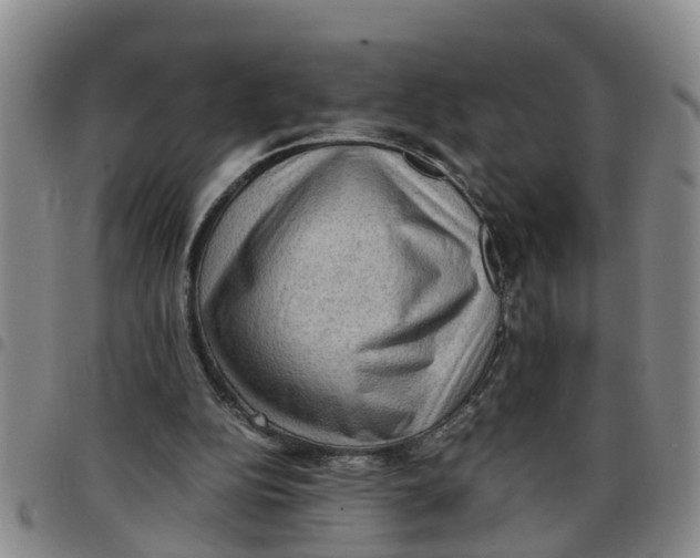 X0000097460152200803141859