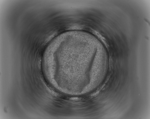 X0000097460153200803141859