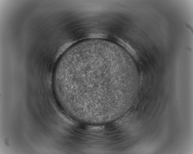 X0000097460155200803141859