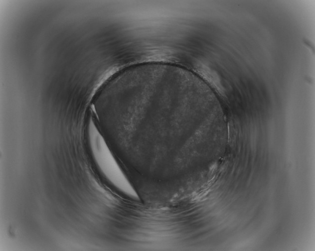 X0000097460156200803141859