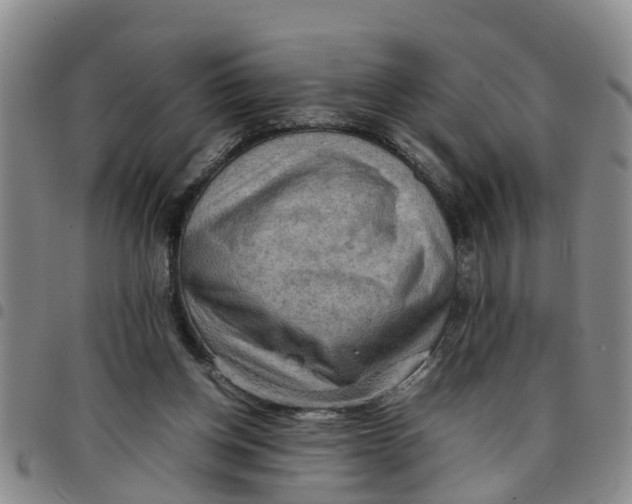 X0000097460158200803141859